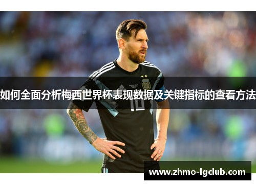 如何全面分析梅西世界杯表现数据及关键指标的查看方法