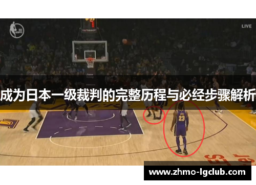 成为日本一级裁判的完整历程与必经步骤解析