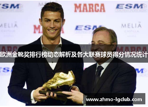 欧洲金靴奖排行榜动态解析及各大联赛球员得分情况统计