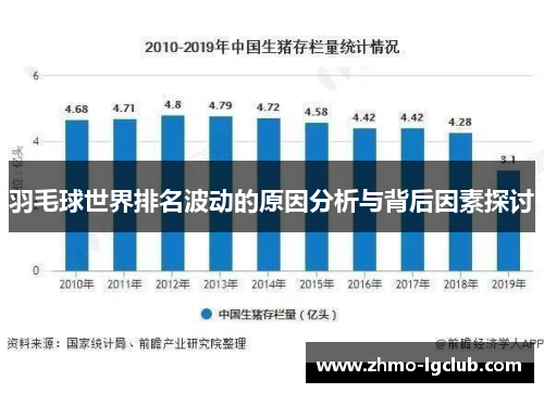 羽毛球世界排名波动的原因分析与背后因素探讨