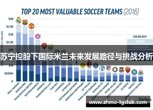 苏宁控股下国际米兰未来发展路径与挑战分析